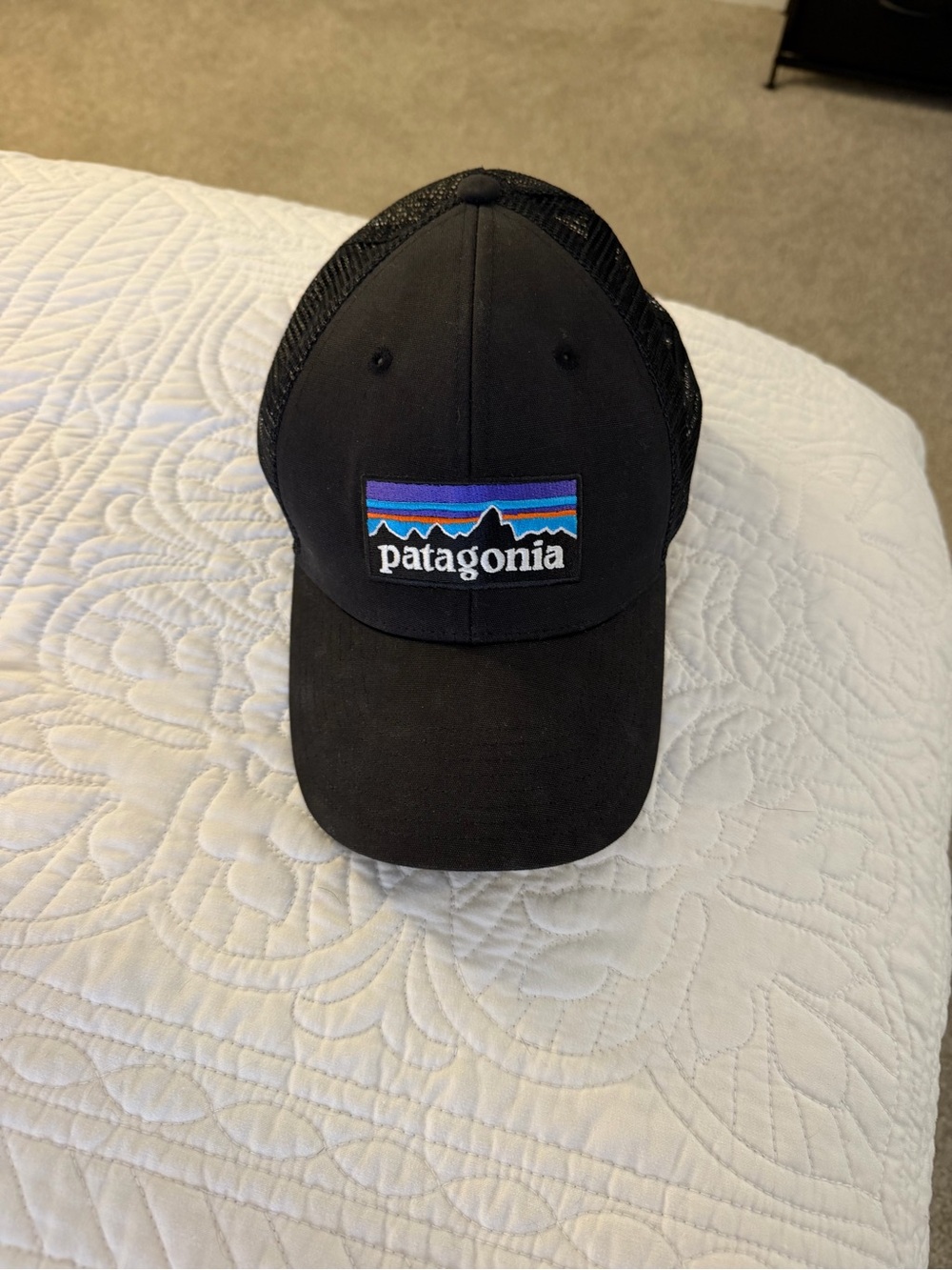 Patagonia Black Trucker Hat with Multicolor Logo